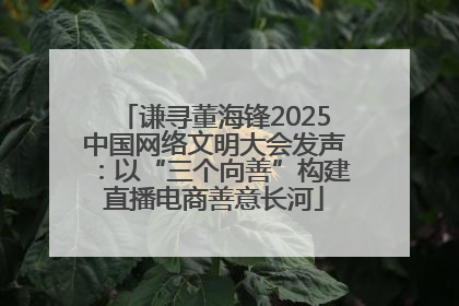 谦寻董海锋2025中国网络文明大会发声：以“三个向善”构建直播电商善意长河