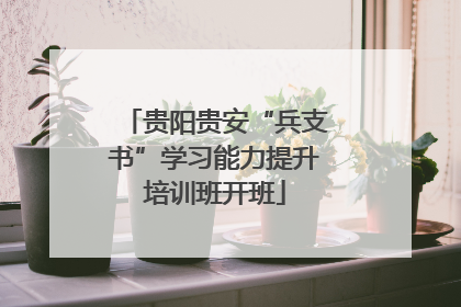贵阳贵安“兵支书”学习能力提升培训班开班
