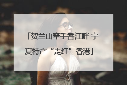 贺兰山牵手香江畔 宁夏特产“走红”香港