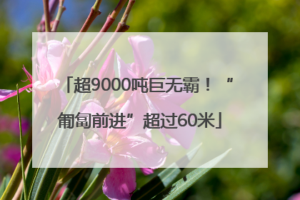 超9000吨巨无霸！“匍匐前进”超过60米