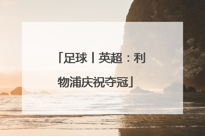 足球丨英超：利物浦庆祝夺冠