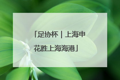 足协杯｜上海申花胜上海海港