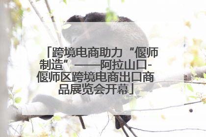 跨境电商助力“偃师制造”——阿拉山口-偃师区跨境电商出口商品展览会开幕