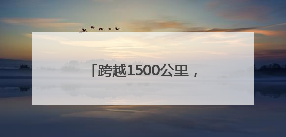 跨越1500公里，奥森龙形水系迎来湖南益阳双桡龙舟表