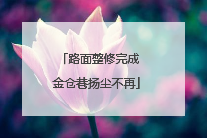 路面整修完成 金仓巷扬尘不再