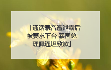 通话录音遭泄露后被要求下台 泰国总理佩通坦致歉
