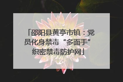 邵阳县黄亭市镇：党员化身禁毒“多面手” 织密禁毒防护网