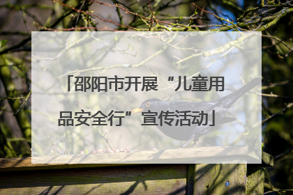 邵阳市开展“儿童用品安全行”宣传活动
