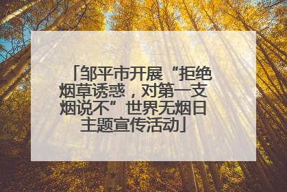 邹平市开展“拒绝烟草诱惑，对第一支烟说不”世界无烟日主题宣传活动