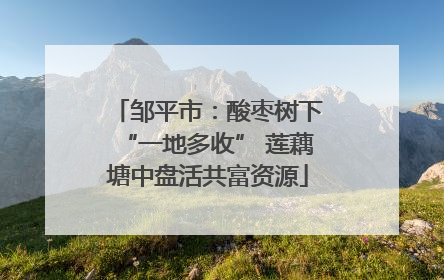 邹平市：酸枣树下“一地多收” 莲藕塘中盘活共富资源