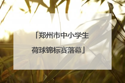 郑州市中小学生荷球锦标赛落幕