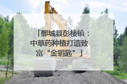 鄄城县彭楼镇：中草药种植打造致富“金钥匙”