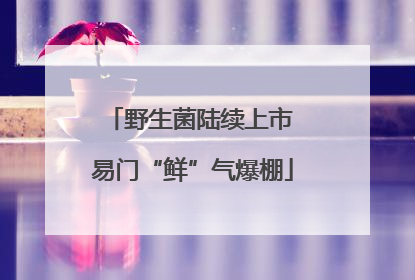 野生菌陆续上市 易门“鲜”气爆棚