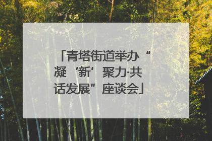 青塔街道举办“凝‘新’聚力·共话发展”座谈会