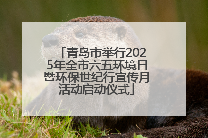 青岛市举行2025年全市六五环境日暨环保世纪行宣传月活动启动仪式