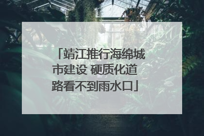 靖江推行海绵城市建设 硬质化道路看不到雨水口