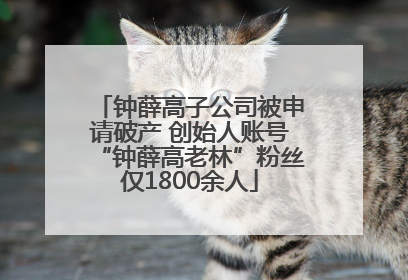 钟薛高子公司被申请破产 创始人账号“钟薛高老林”粉丝仅1800余人