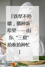 铁犁不停歇，播种新希望——山东“三夏”抢收抢种忙