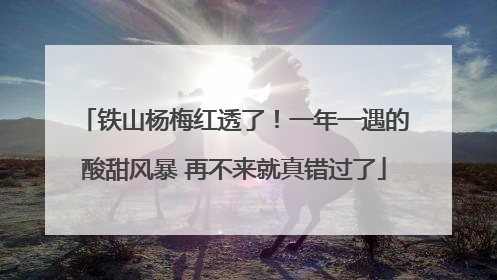 铁山杨梅红透了！一年一遇的酸甜风暴 再不来就真错过了
