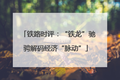 铁路时评：“铁龙”驰骋解码经济“脉动”