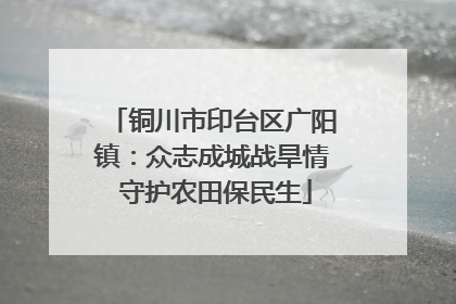 铜川市印台区广阳镇：众志成城战旱情 守护农田保民生