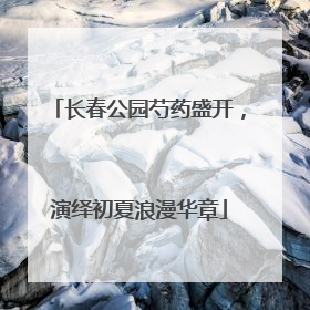 长春公园芍药盛开，演绎初夏浪漫华章