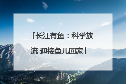 长江有鱼：科学放流 迎接鱼儿回家