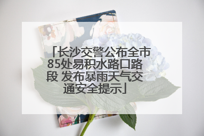 长沙交警公布全市85处易积水路口路段 发布暴雨天气交通安全提示