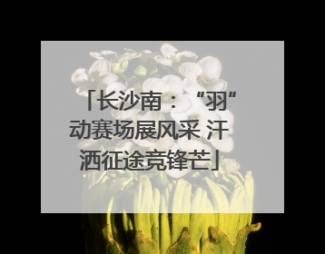 长沙南：“羽”动赛场展风采 汗洒征途竞锋芒