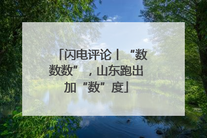 闪电评论丨“数数数”，山东跑出加“数”度