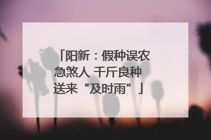 阳新：假种误农急煞人 千斤良种送来“及时雨”