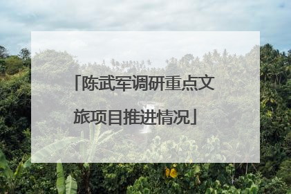陈武军调研重点文旅项目推进情况