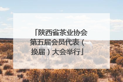 陕西省茶业协会第五届会员代表（换届）大会举行