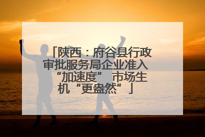 陕西：府谷县行政审批服务局企业准入“加速度” 市场生机“更盎然”