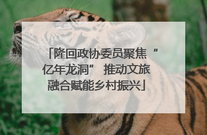 隆回政协委员聚焦“亿年龙洞” 推动文旅融合赋能乡村振兴