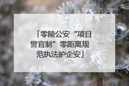 零陵公安“项目警官制”零距离规范执法护企安