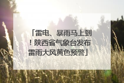 雷电、暴雨马上到！陕西省气象台发布雷雨大风黄色预警