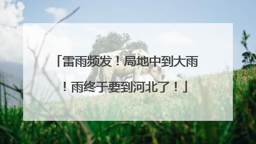 雷雨频发！局地中到大雨！雨终于要到河北了！