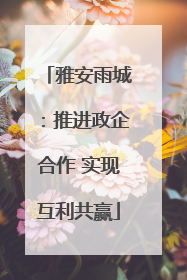 雅安雨城：推进政企合作 实现互利共赢