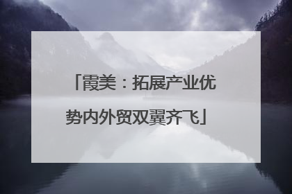 霞美：拓展产业优势内外贸双翼齐飞