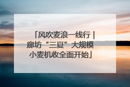 风吹麦浪一线行｜廊坊“三夏”大规模小麦机收全面开始