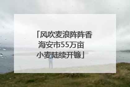 风吹麦浪阵阵香 海安市55万亩小麦陆续开镰