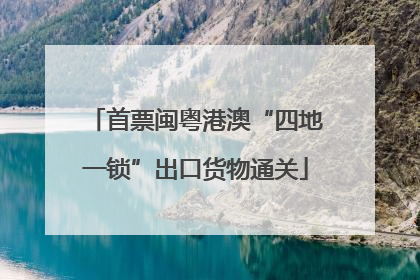 首票闽粤港澳“四地一锁”出口货物通关