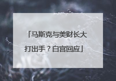 马斯克与美财长大打出手？白宫回应