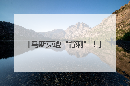 马斯克遭“背刺”！