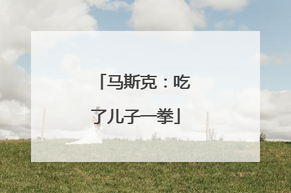 马斯克：吃了儿子一拳