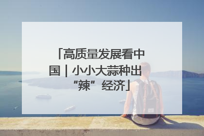 高质量发展看中国｜小小大蒜种出“辣”经济