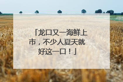 龙口又一海鲜上市，不少人夏天就好这一口！