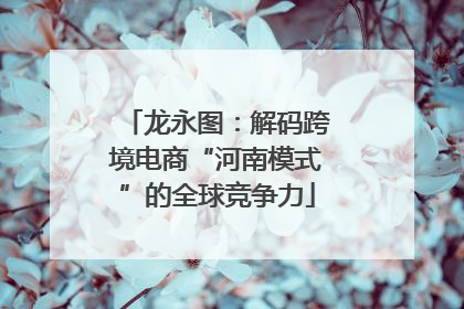 龙永图：解码跨境电商“河南模式”的全球竞争力