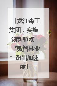 龙江森工集团：实施创新驱动 “数智林业”跑出加速度